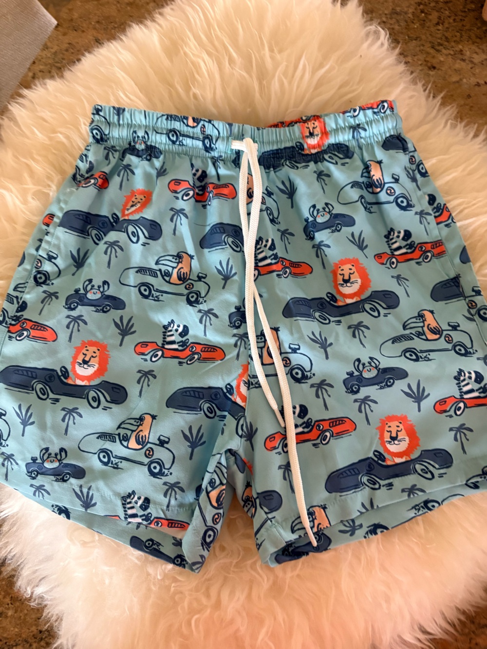Zara Light Blue Kids Swim Trunks with Car & Animal Print